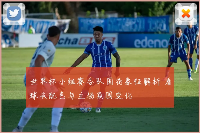 世界杯小组赛各队国花象征解析 看球衣配色与主场氛围变化