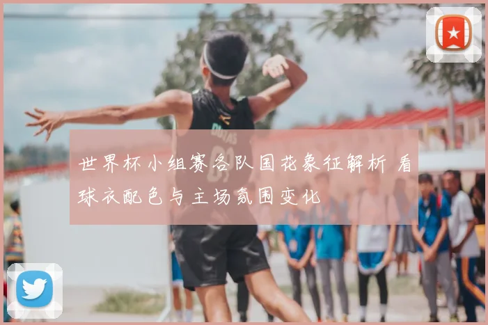 世界杯小组赛各队国花象征解析 看球衣配色与主场氛围变化