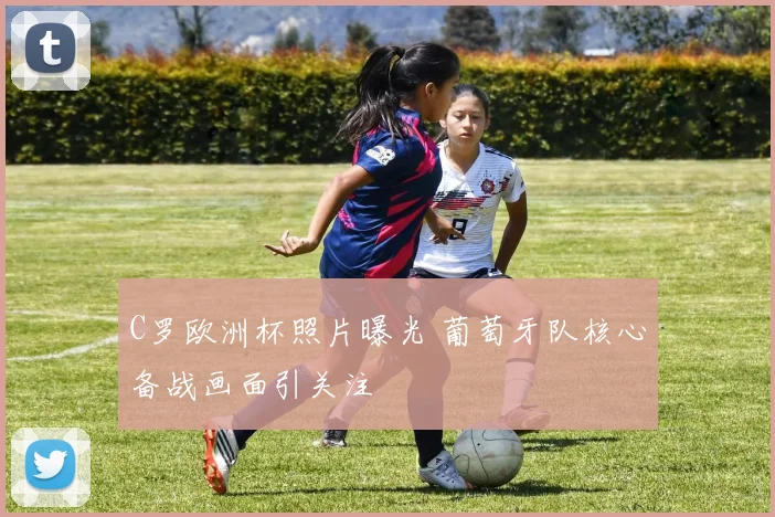 C罗欧洲杯照片曝光 葡萄牙队核心备战画面引关注